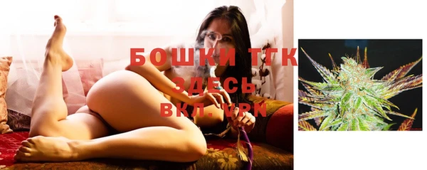 стаф Мегион