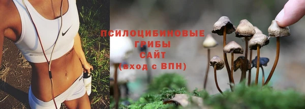 марихуана Медногорск