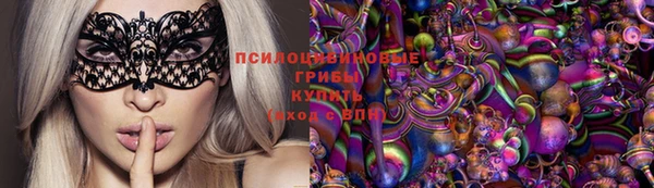 стаф Мегион